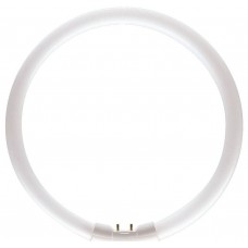 Лампа люминисцентная MASTER TL5 Circular 22W/830 1CT/10