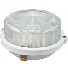 Светильник для внутреннего и наружного освещения TDM НПП 03-100-005.03 У3 белый