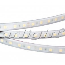 Лента светодиодная RTW 2-5000PW 12V DayWhite2x(5060,300LED,LUX Arlight