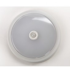 Светодиодный светильник декоративный LLT СПБ-2 250-15