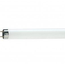 Лампа люминисцентная TL-D 36W/33-640 G13 Philips