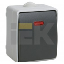 Выключатель одноклавишный со световым индикатором для открытой установки IEK EVS11-K03-10-54-Dc